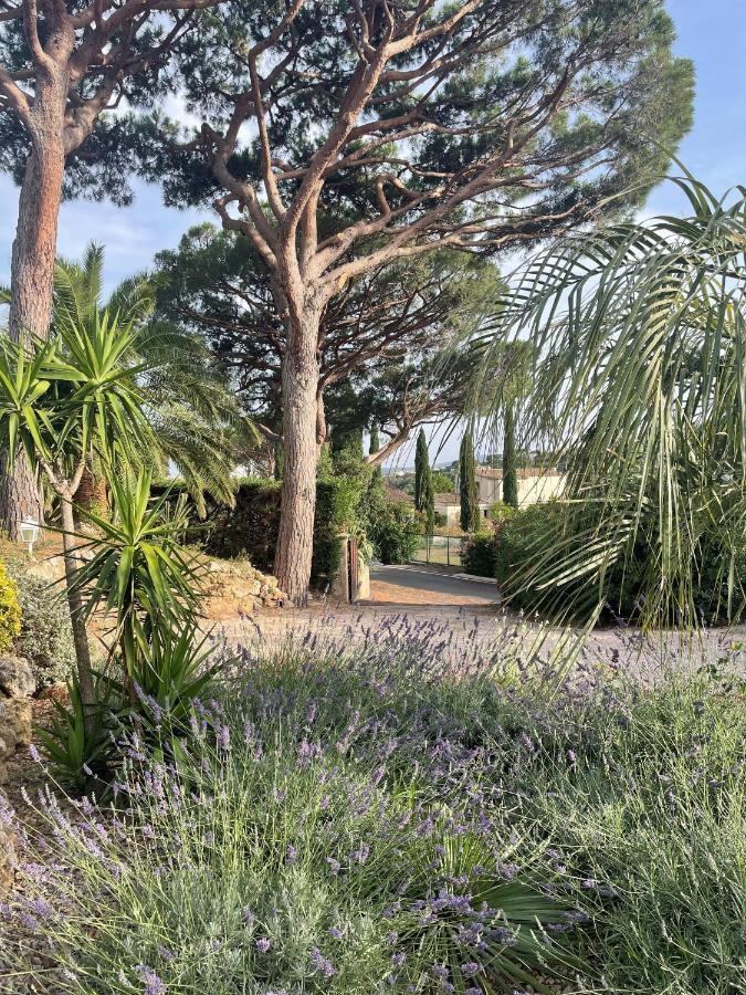 Paradis Provencal Sainte-Maxime Bagian luar foto