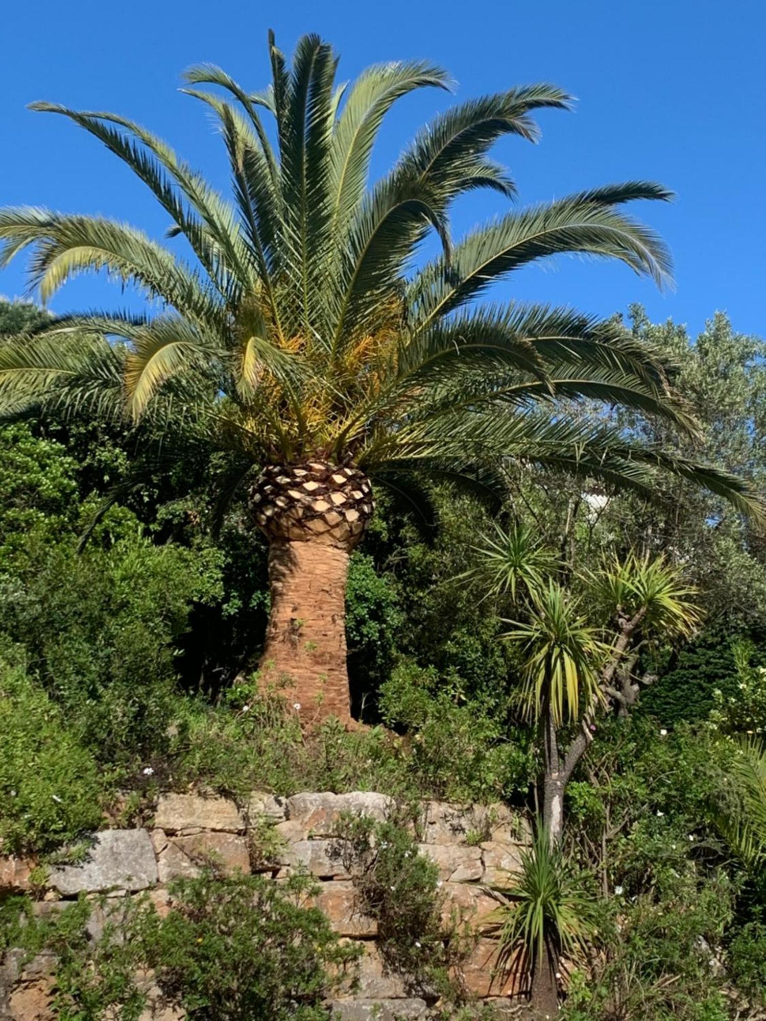 Paradis Provencal Sainte-Maxime Bagian luar foto